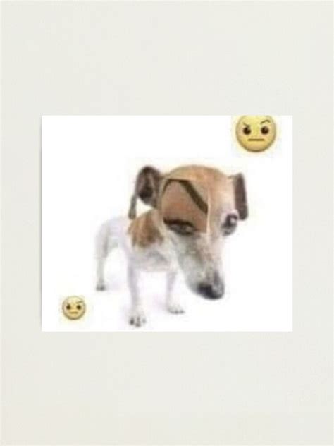 Images tagged "raised eyebrow dog". . Dog with raised eyebrow meme
